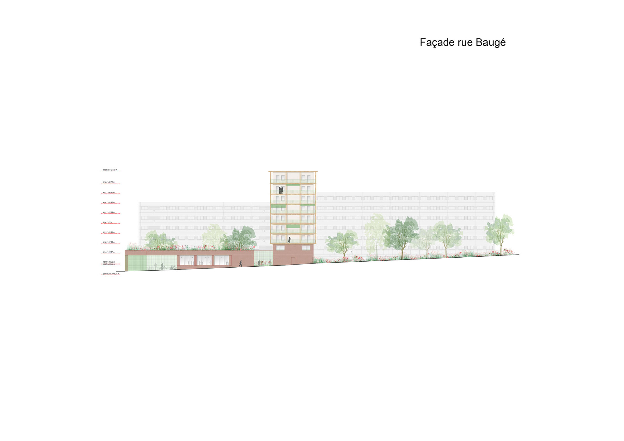 FAC 1