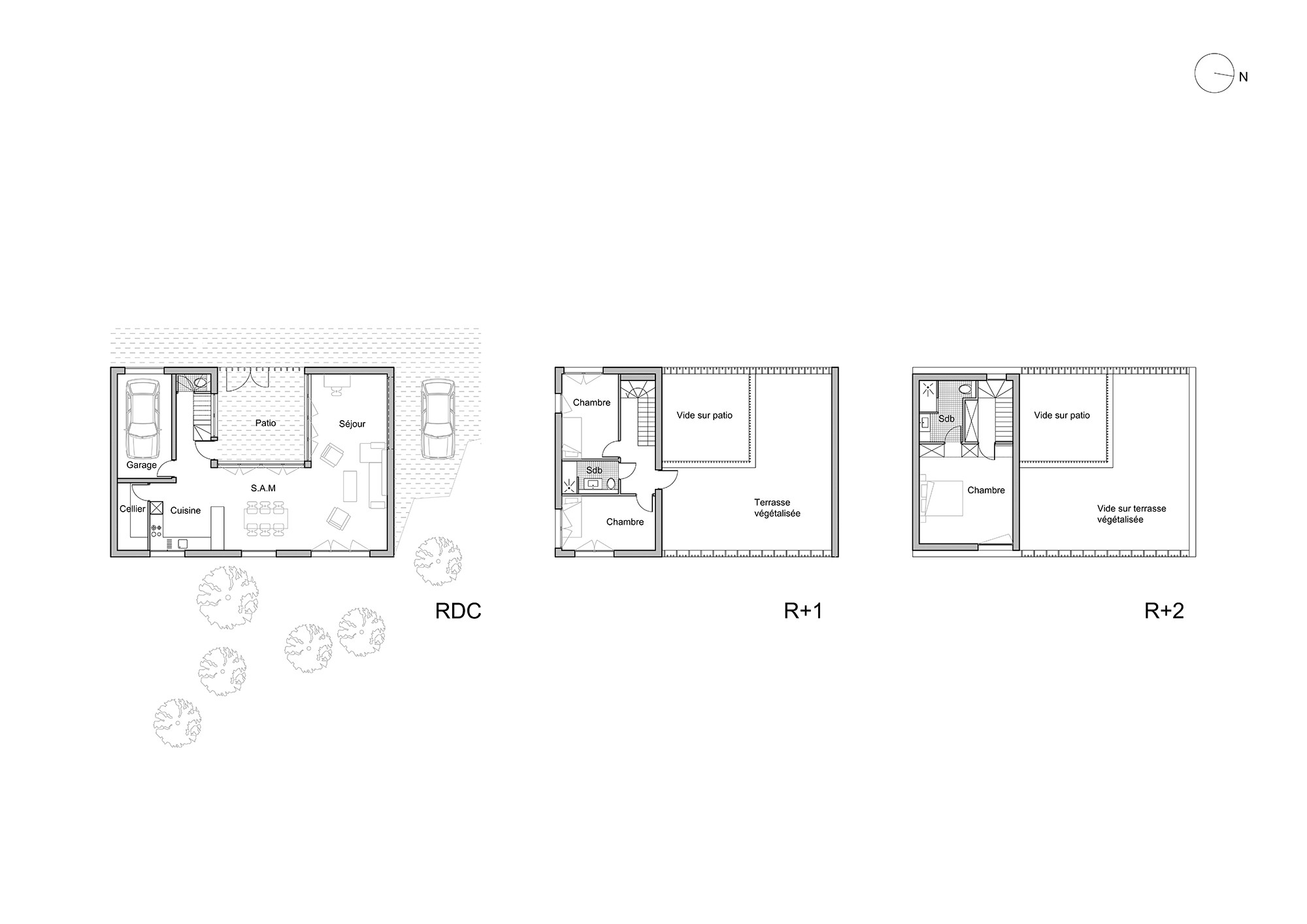 PM SITE D09 (1)